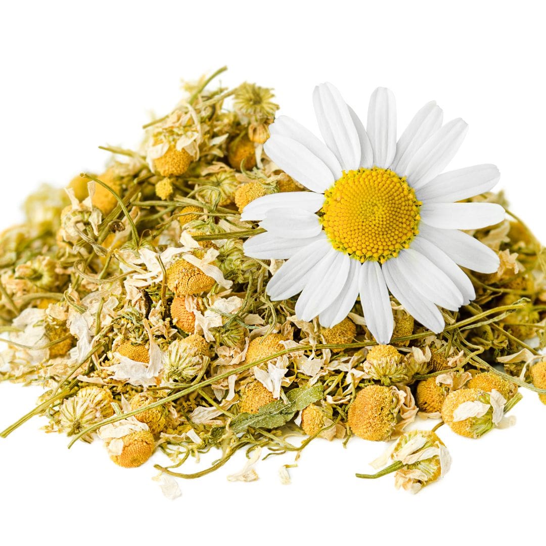 FreshUp Professional USA Chamomile Jelly Mask ingredient chamomile flowers